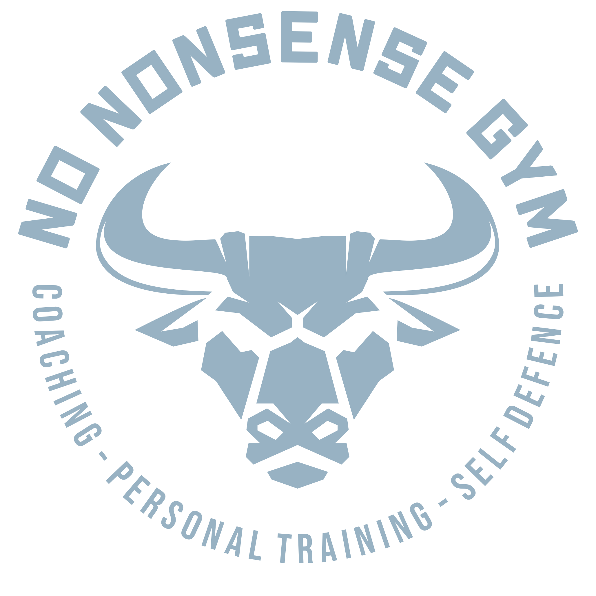 No Nonsense Gym Fitness en Personal Training Naarden